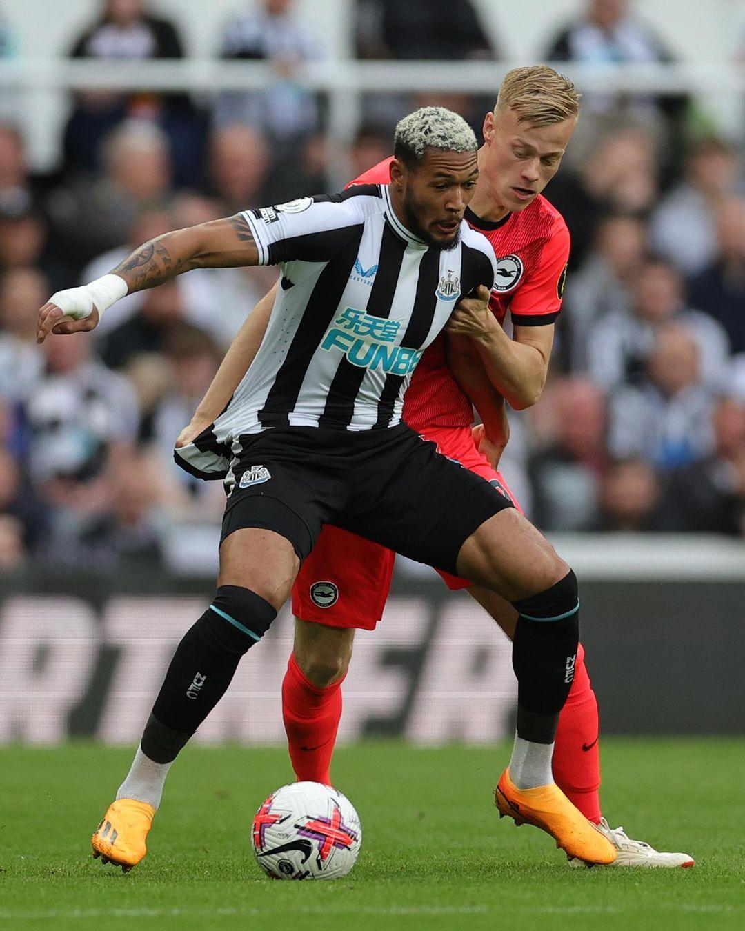 催化燃烧传感器